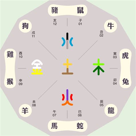 葵卯 五行|癸卯年的五行属性是什么 癸卯年水多还是木多——天玄网